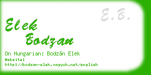elek bodzan business card